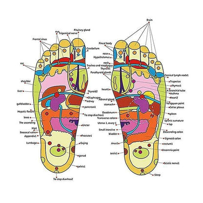 Acupressure & Magnetic Therapy Slippers - Boost Blood Circulation for Men & Women