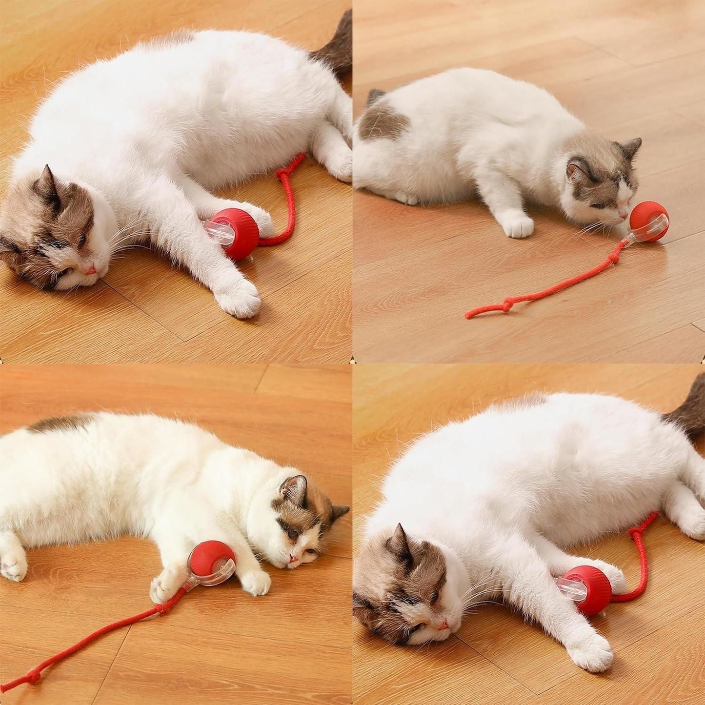 Interactive Rechargeable Rolling Ball Toy with Tail For Cats & Dogs