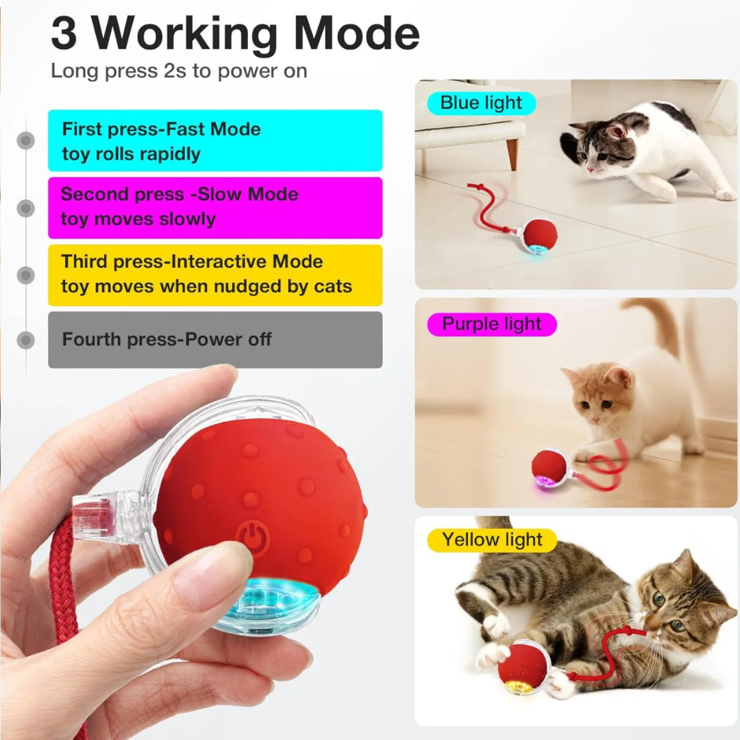 Interactive Rechargeable Rolling Ball Toy with Tail For Cats & Dogs