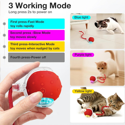 Interactive Rechargeable Rolling Ball Toy with Tail For Cats & Dogs