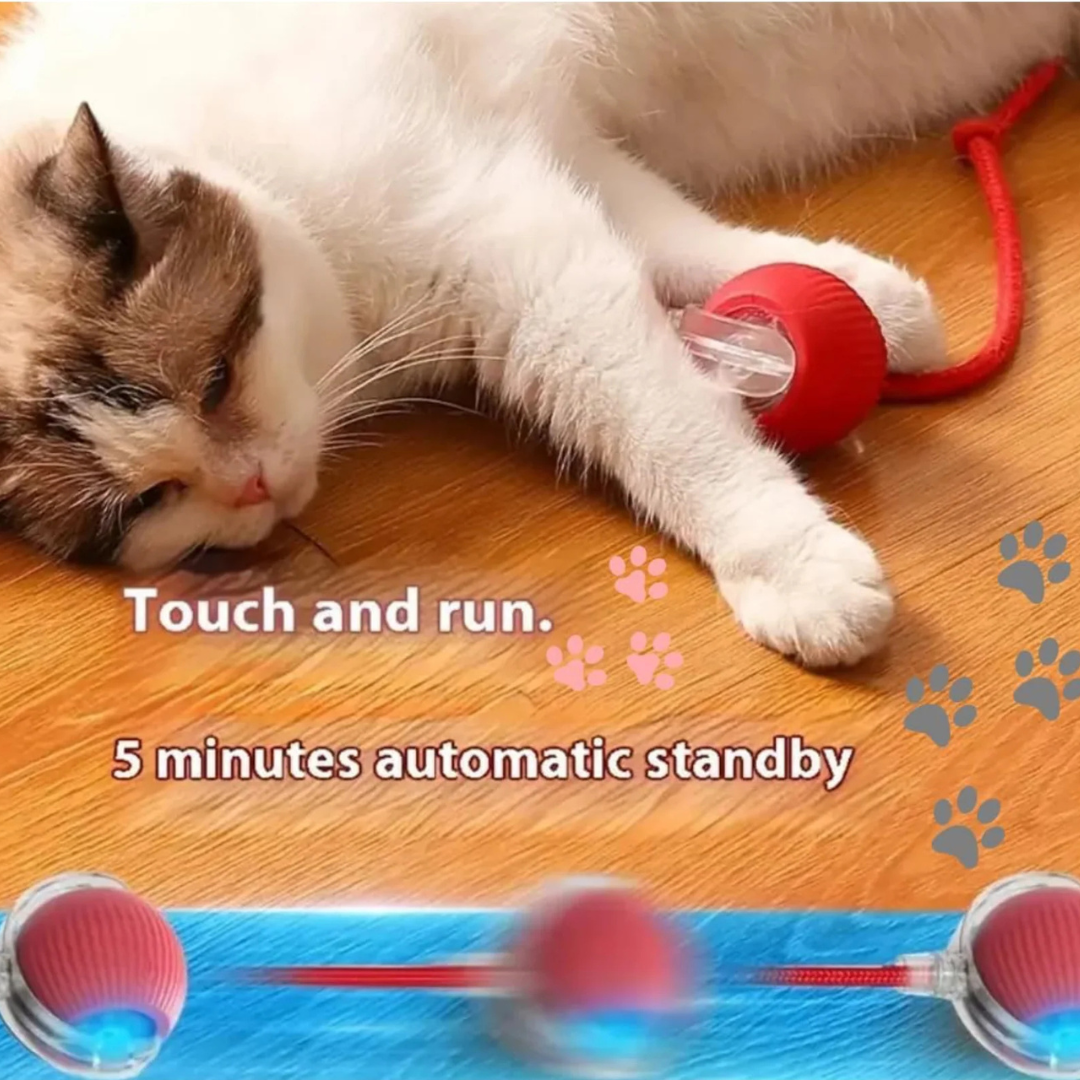 Interactive Rechargeable Rolling Ball Toy with Tail For Cats & Dogs