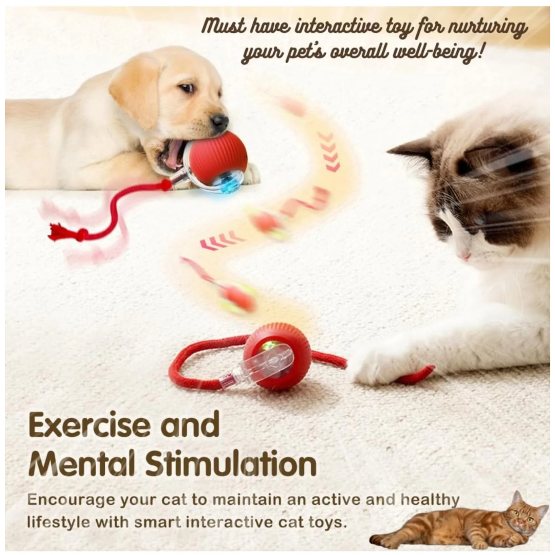 Interactive Rechargeable Rolling Ball Toy with Tail For Cats & Dogs