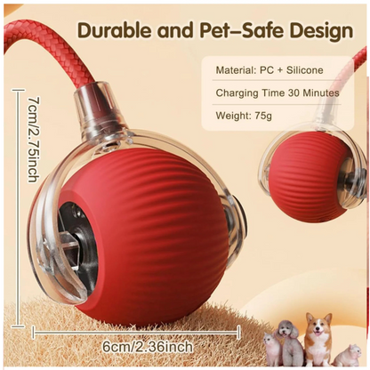 Interactive Rechargeable Rolling Ball Toy with Tail For Cats & Dogs